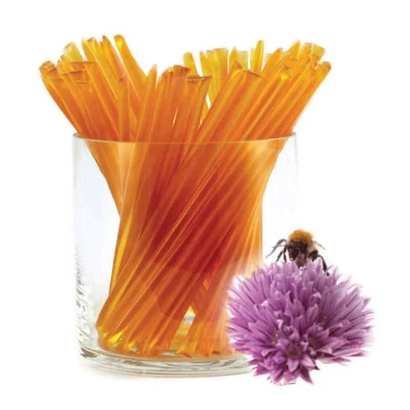 GloryBee Honey Sticks: 100-Piece Box