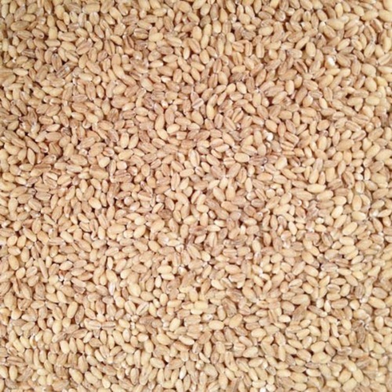 Grain Place Foods | Non-Gmo Organic Hulled Barley | Made In Usa | 25 Lb Bag