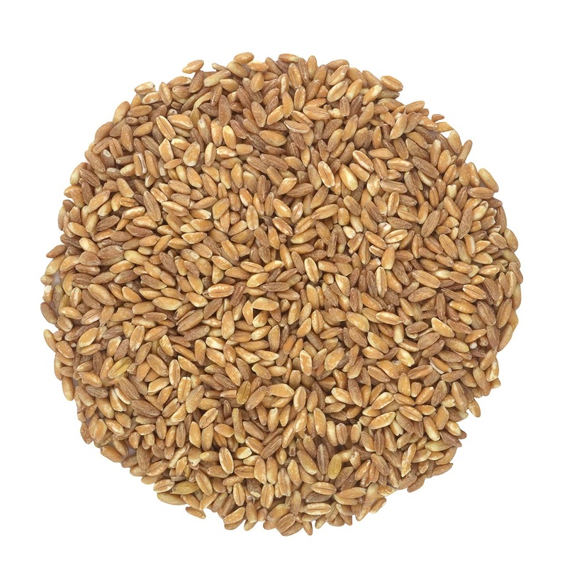 Organic Italian Pearled Farro – Imported, Raw, Non-Gmo, Vegan, Bulk, Protein, Fiber Rich (1Lb)