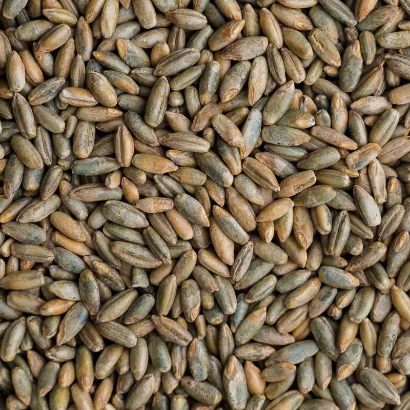12 Oz Signature Rye Berries – Organic And Healthy, High In Fiber And Iron – 12 Oz Bag Of Rye Berries