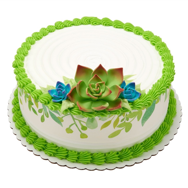 Succulents with Texture 10″ Double Layer Cake