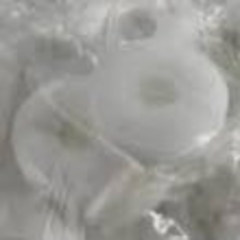 LIFESAVERS WINT-O-GREEN