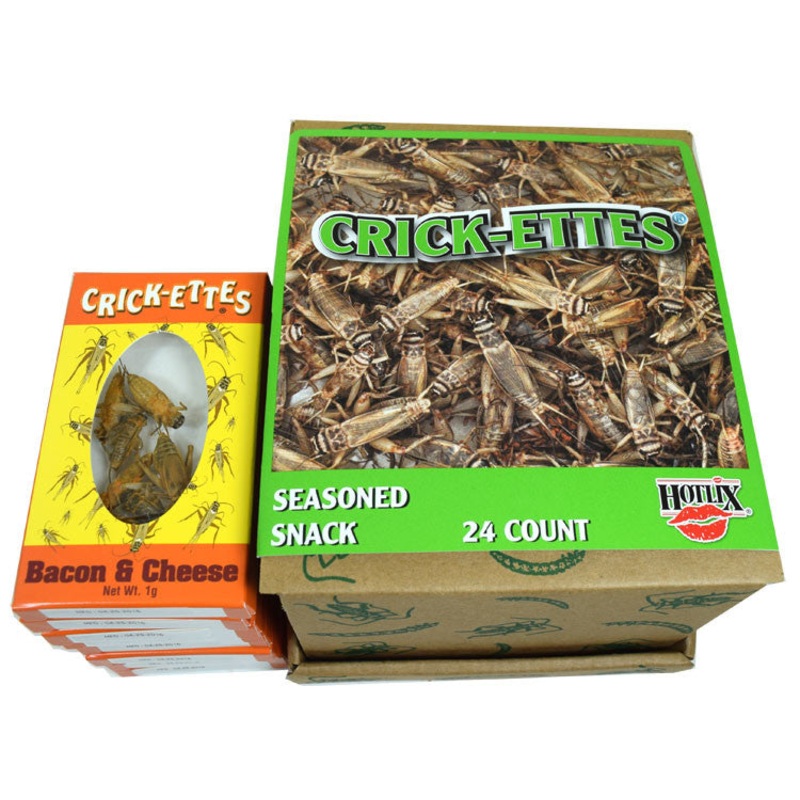 Real Cricket Snacks 24 Count Bacon and Cheese