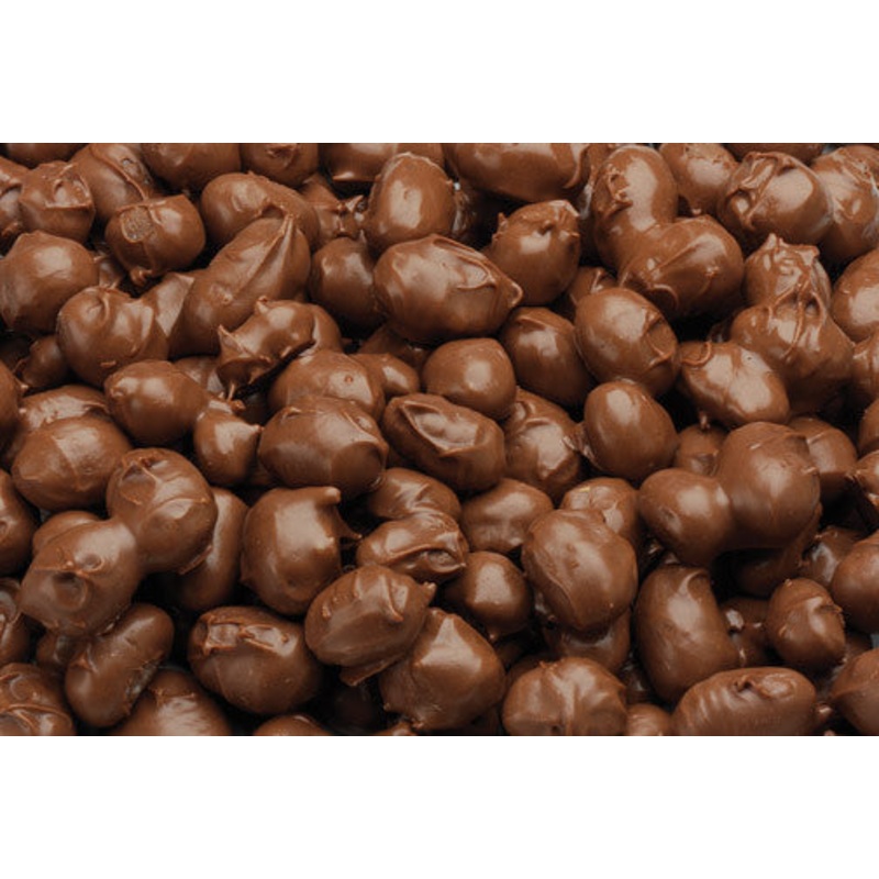 Chocolate Covered Peanuts 20oz