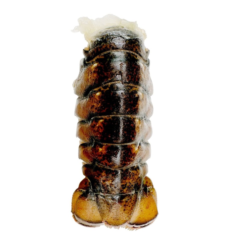 Member’s Mark Cold Water Lobster Tails, Service Counter