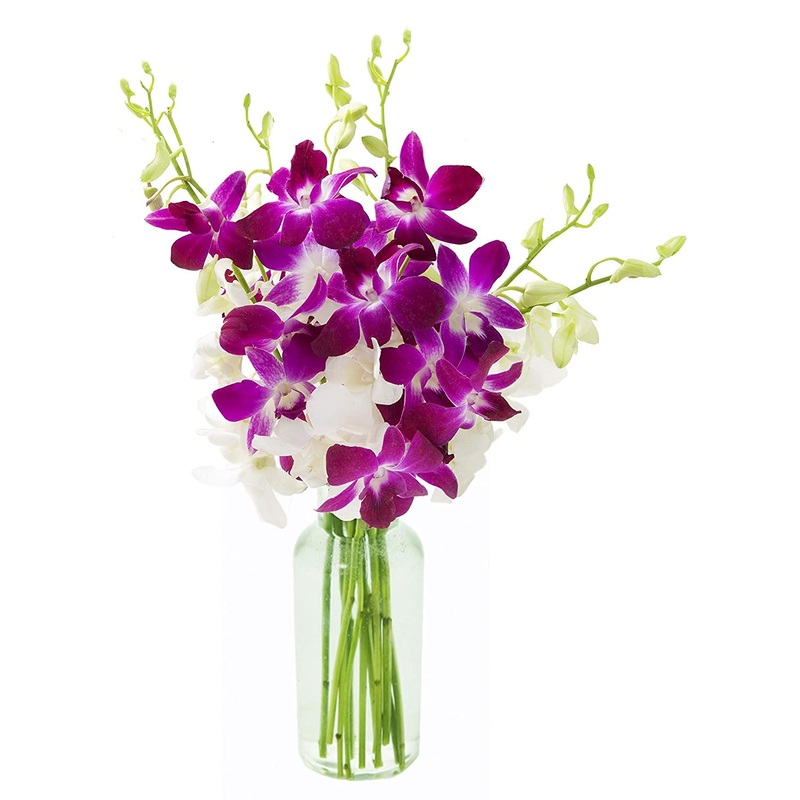Kabloom Flowers – Denali Collection : Bouquet Of 10 Purple And 10 White Orchid With Vase Gift For Birthday, Sympathy, Anniversar