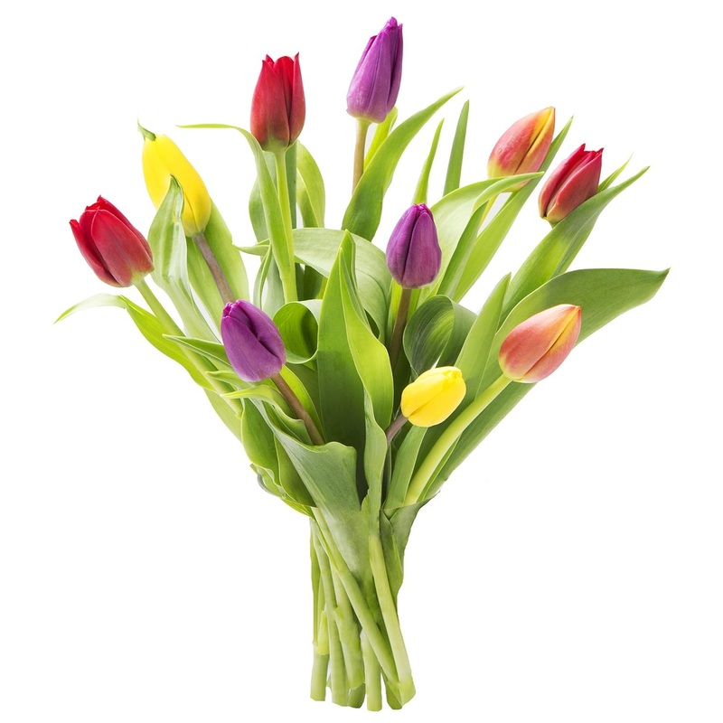 Kabloom Flowers -Valentine’S Day Collection – 10 Assorted Tulips Without Vase, Gift For Birthday, Sympathy, Anniversary, Get Wel