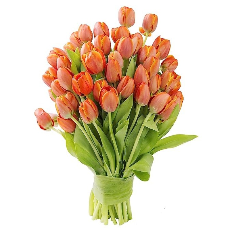 Kabloom Flowers – Mother’S Day Collection – Premium 50 Orange Tulips – Wholesale Fresh Flowers I Gift For Birthday, Sympathy, An
