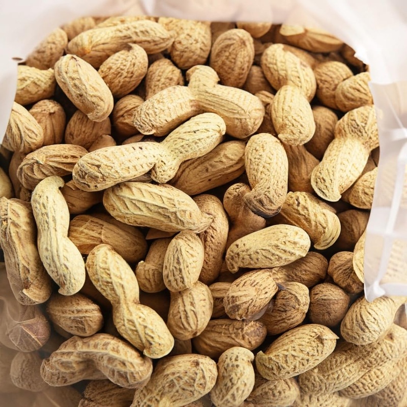 C.J. Dannemiller Jumbo RAW Peanuts in Shell, 10 LB Bulk Bag – Ideal for Boiling and Roasting