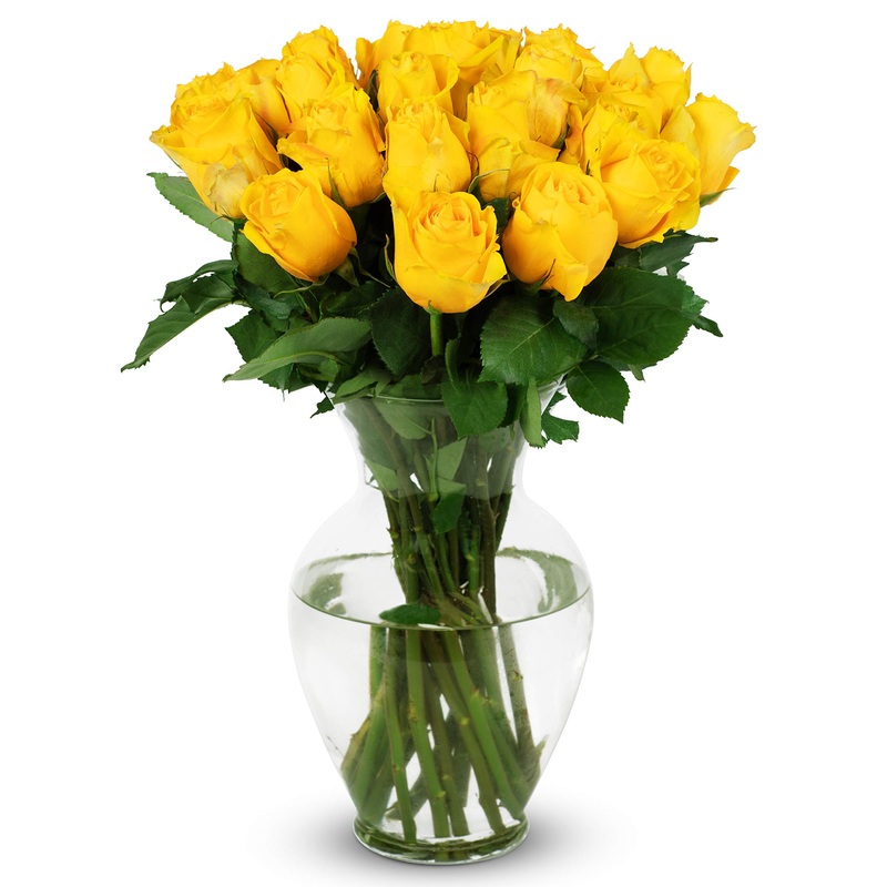 Benchmark Bouquets – 24 Stem Premium Yellow Roses (Glass Vase Included) – Fresh Flowers For Delivery – Gift For Graduation, Birt