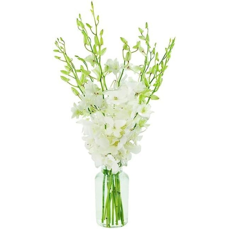 Kabloom Flowers – Mother’S Day Collection – 10 White Orchid With Vase, Gift For Birthday, Sympathy, Anniversary, Get Well, Thank
