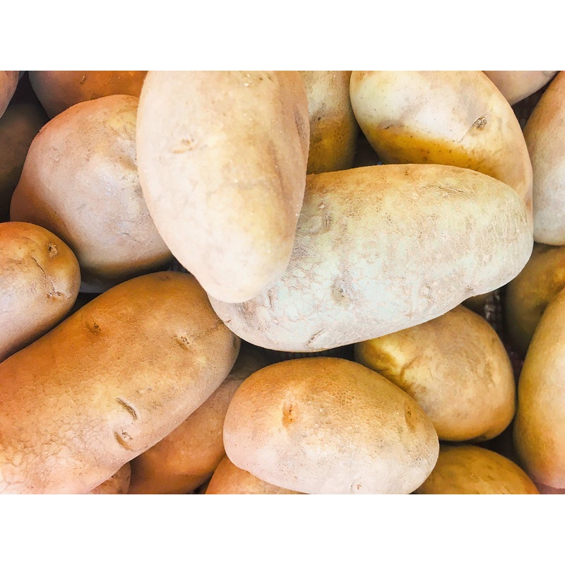 Kejora Fresh Russet Potatoes – Non Gmo & Gluten Free – 8 Lbs