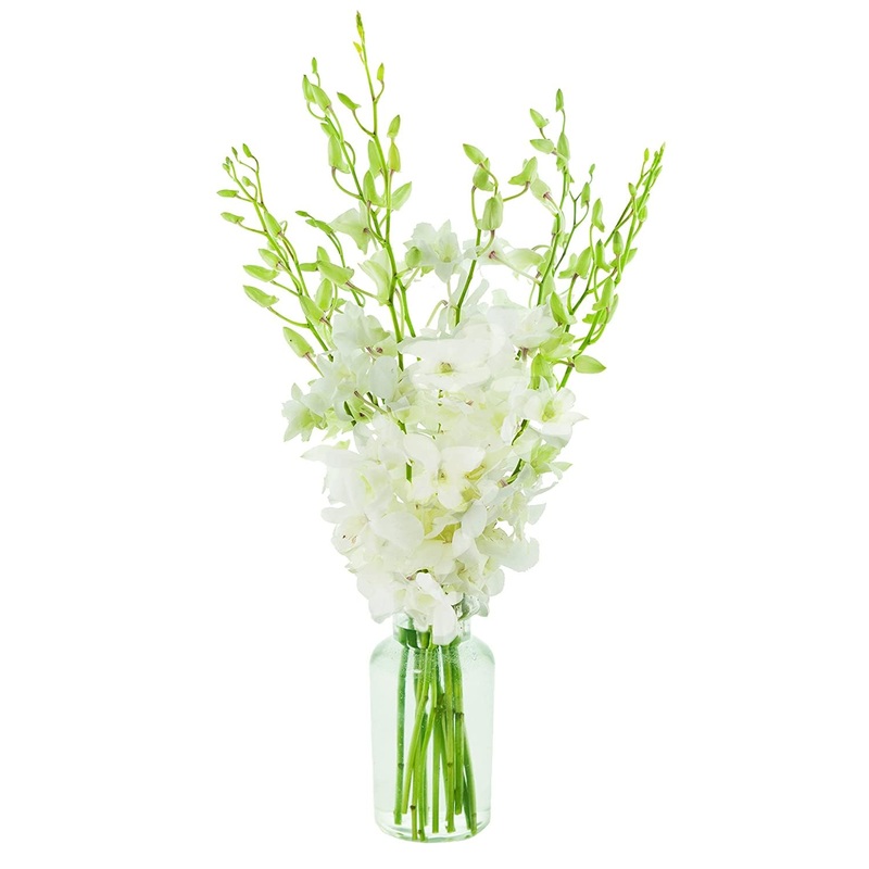 Premium Cut White Orchids (10 Stems With Vase) (Support Small Business)