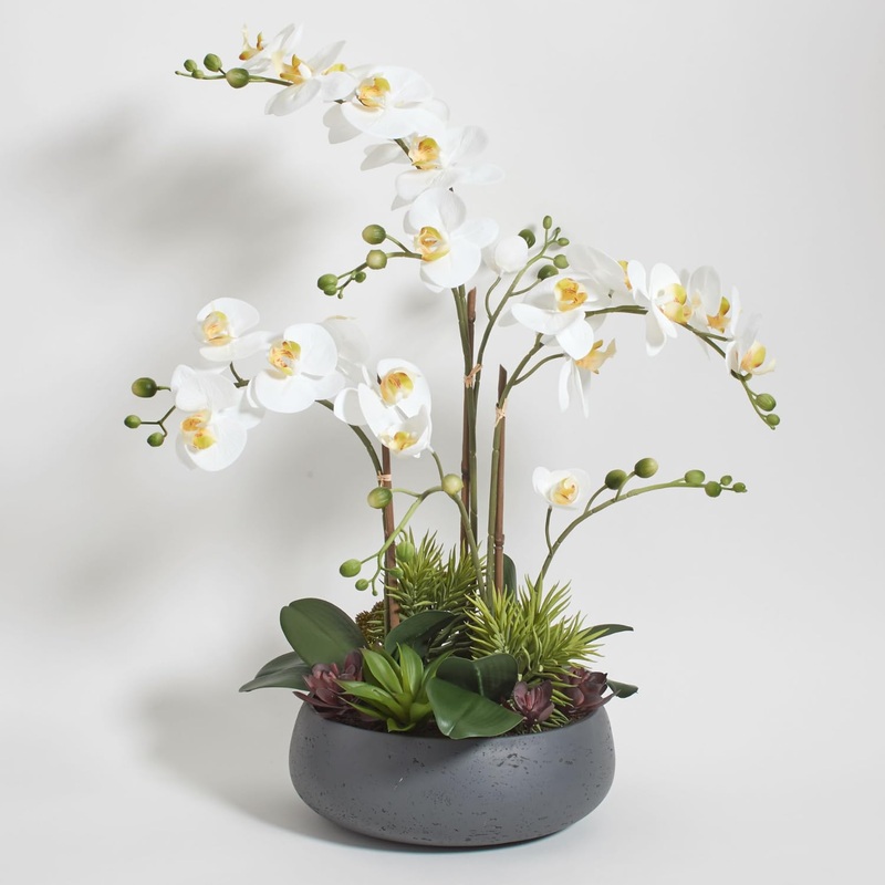 Cg Hunter Faux Orchid Plant W/Succulents, Premium Artificial Indoor Flower Display Stands 24    W/Beautiful Sculptural Blooms An