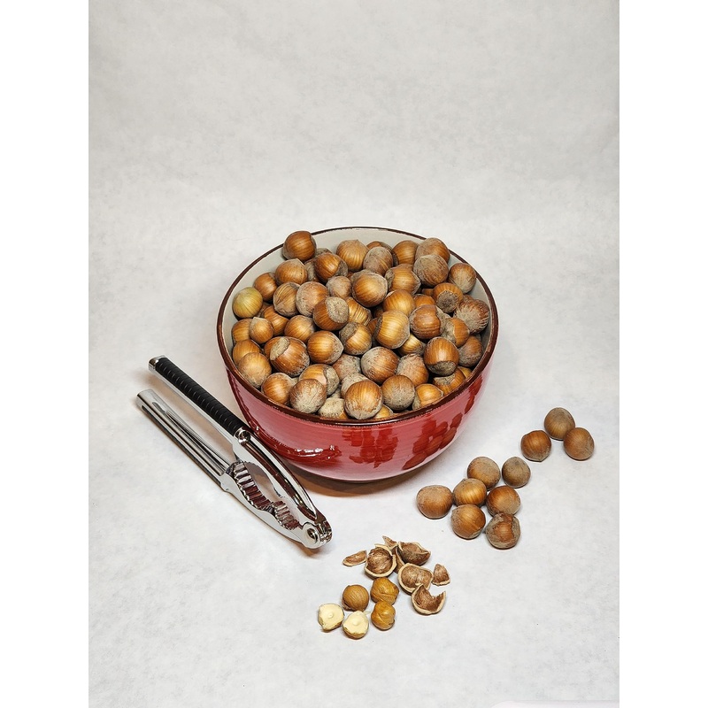 Hazelnuts In Shell Grown In Our Family’S Orchard In Washington State (Roasted, 8 Pound)