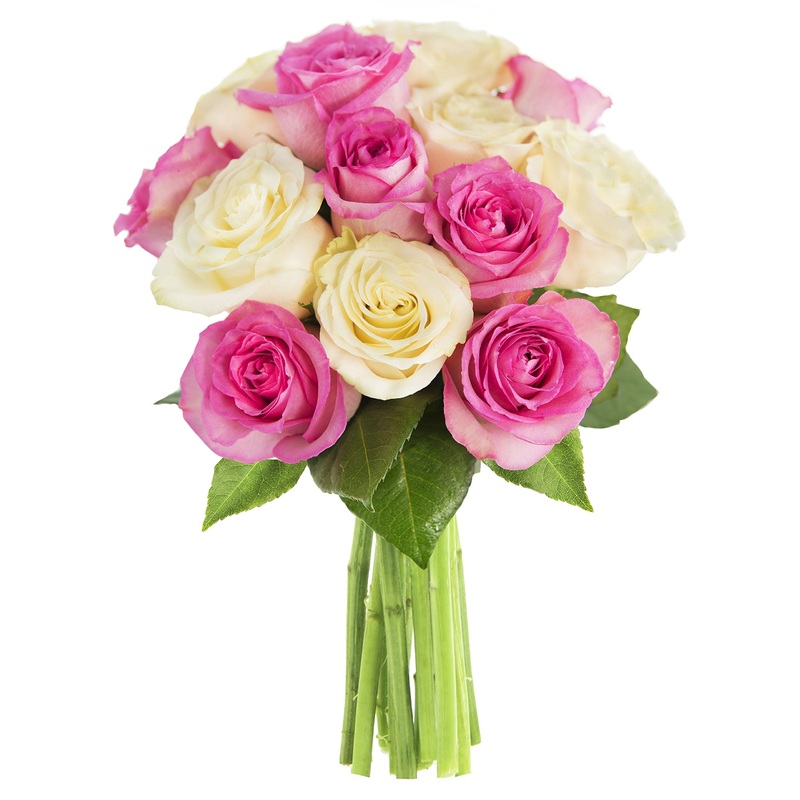 Kabloom Flowers – Bouquet Of 12 Soft Pink And White Roses Without Vase.Gift For Birthday, Get Well, Thank You, Valentine, Mother