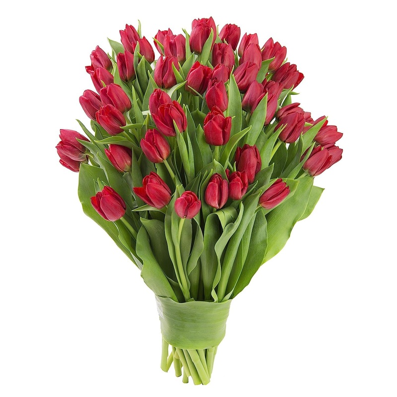 Kabloom Flowers – Mother’S Day Collection – Premium 50 Red Tulips – Wholesale Fresh Flowers I Gift For Birthday, Sympathy, Anniv