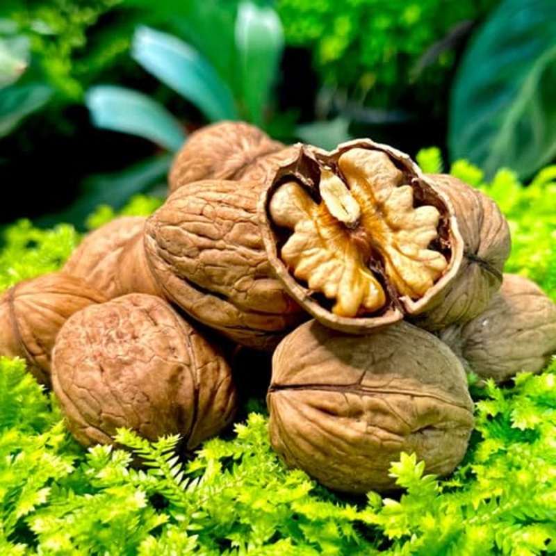 Walnuts In-Shell (Whole) | California Grown (20) Lbs Pounds