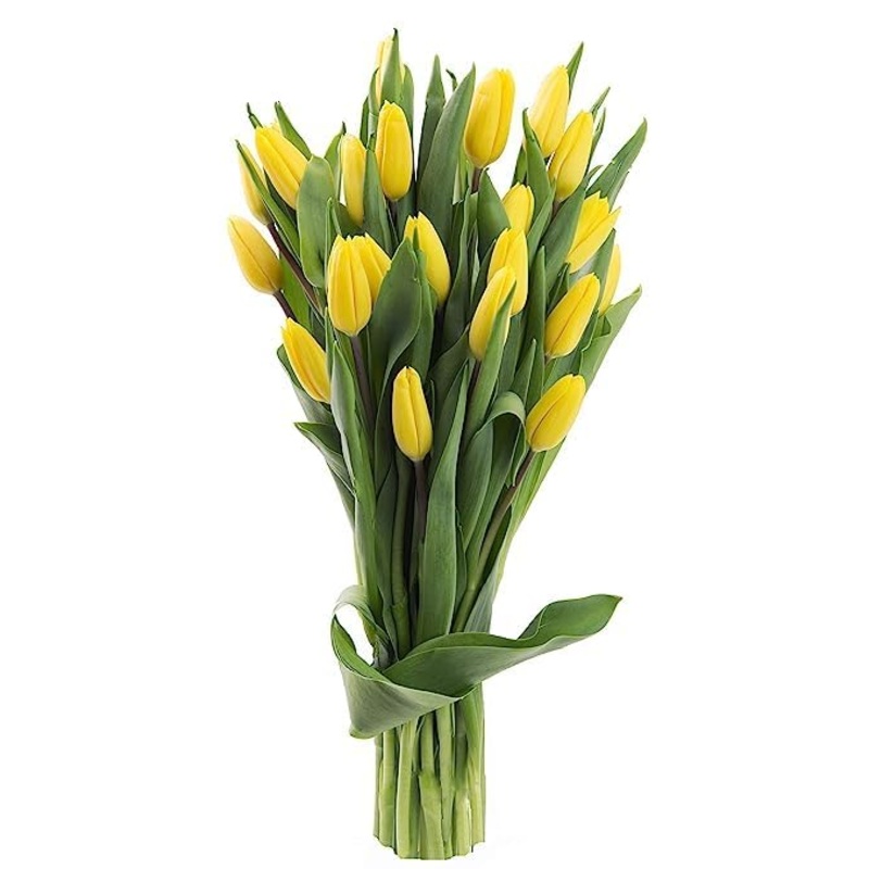 Kabloom Flowers – Bloomia Collection – 15 Yellow Tulips Without Vase – Gift For Birthday, Sympathy, Anniversary, Get Well, Thank