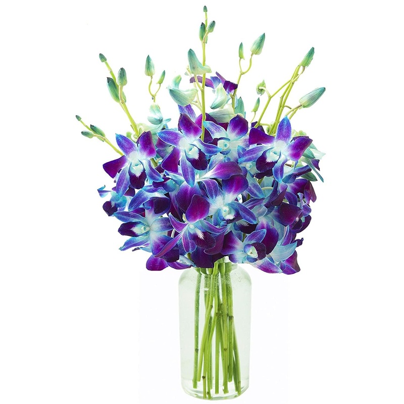 Kabloom Flowers – Mother’S Day Collection – 10 Blue Orchid With Vase, Gift For Birthday, Sympathy, Anniversary, Get Well, Thank