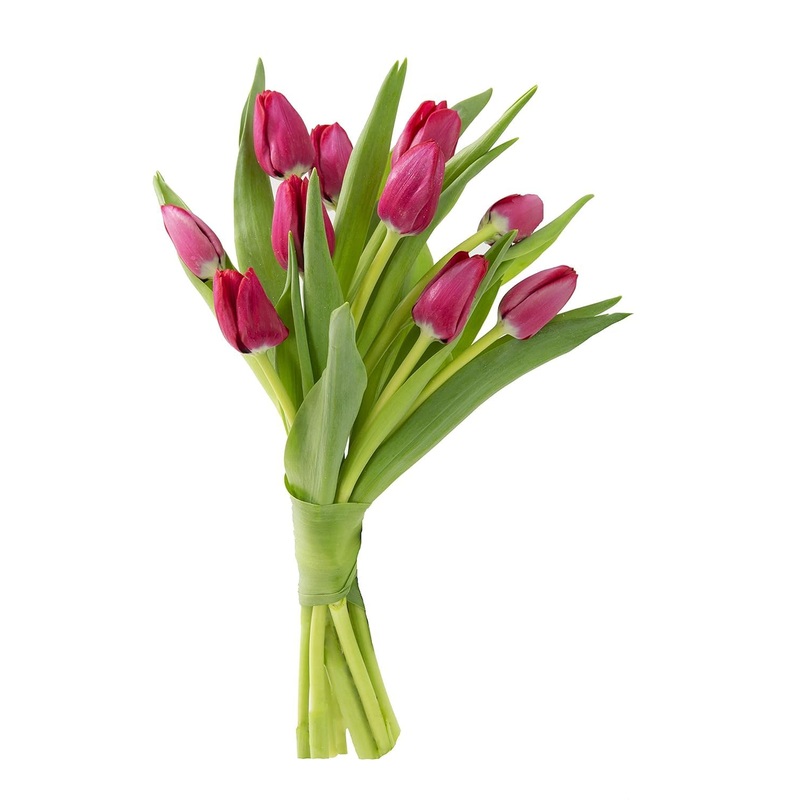 Kabloom Flowers -Valentine’S Day Collection – 10 Red Tulips Without Vase, Gift For Birthday, Sympathy, Anniversary, Get Well, Th