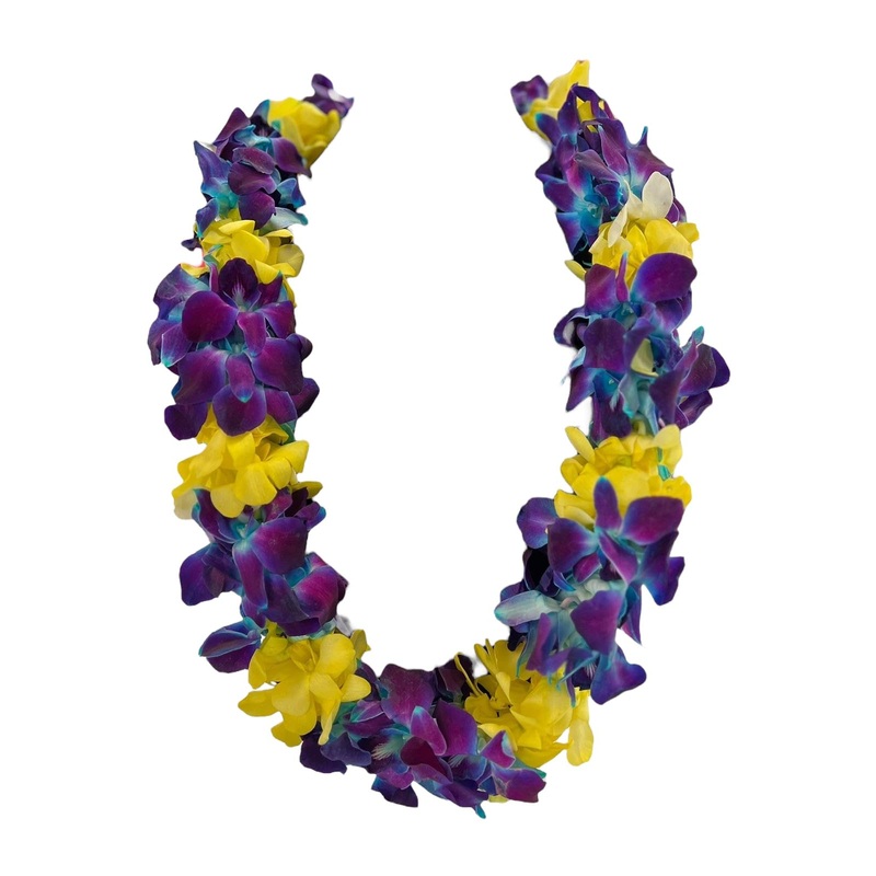 Fresh Hand Made Dendrobium Orchid Lei Purple (Blue With Yellow)