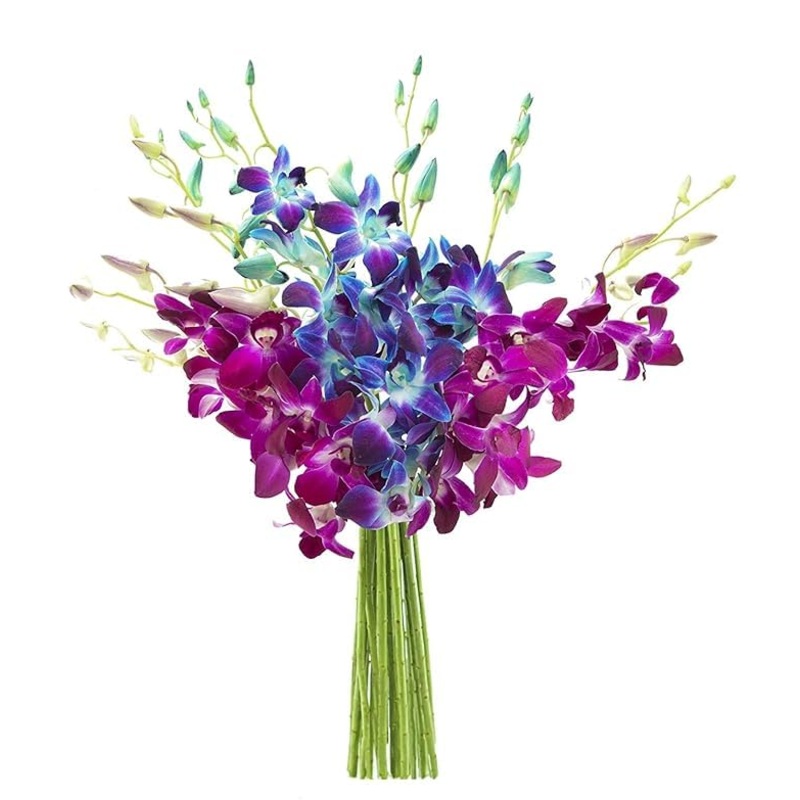 Kabloom Flowers -Valentine’S Day Collection – 10 Blue And 10 Purple Orchid Without Vase, Gift For Birthday, Sympathy, Anniversar