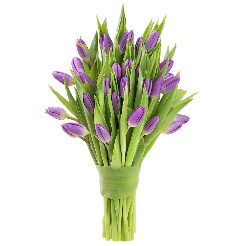 Kabloom Flowers -Valentine’S Day Collection – 20 Purple Tulips Without Vase, Gift For Birthday, Sympathy, Anniversary, Get Well,