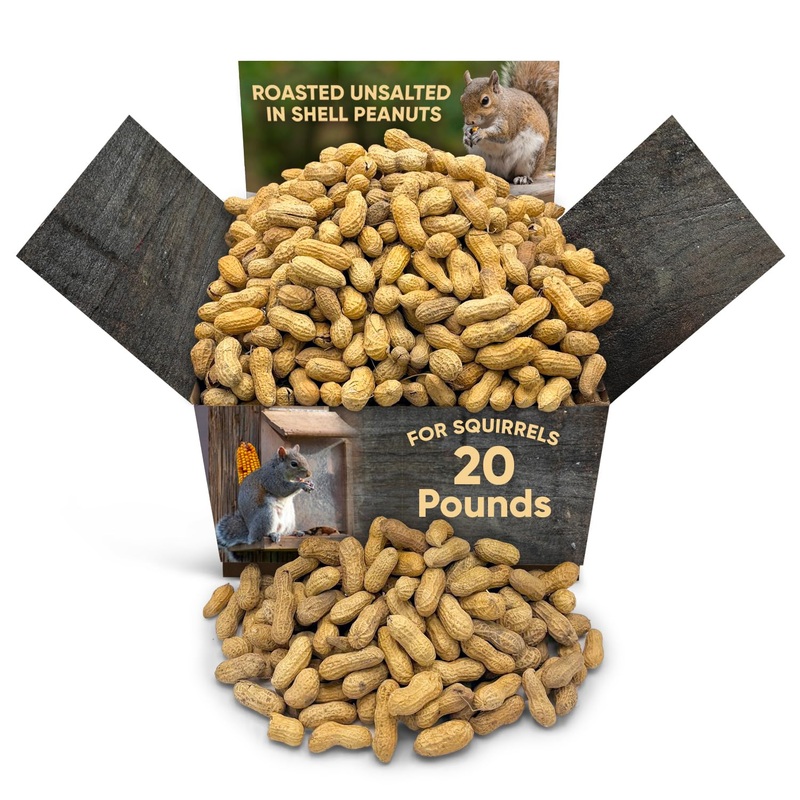 Chain & Jo Sweets Peanuts For Squirrels – Roasted Unsalted Peanuts In Shell Bulk 20Lb Approx 4,000 Pieces – Perfect For Wildlife