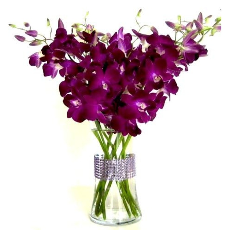 Eflowerwholesale – Premium Cut Orchids (10 Stems Orchid With Rhinestone Mesh Ribbon Vase) (Dark Purple)
