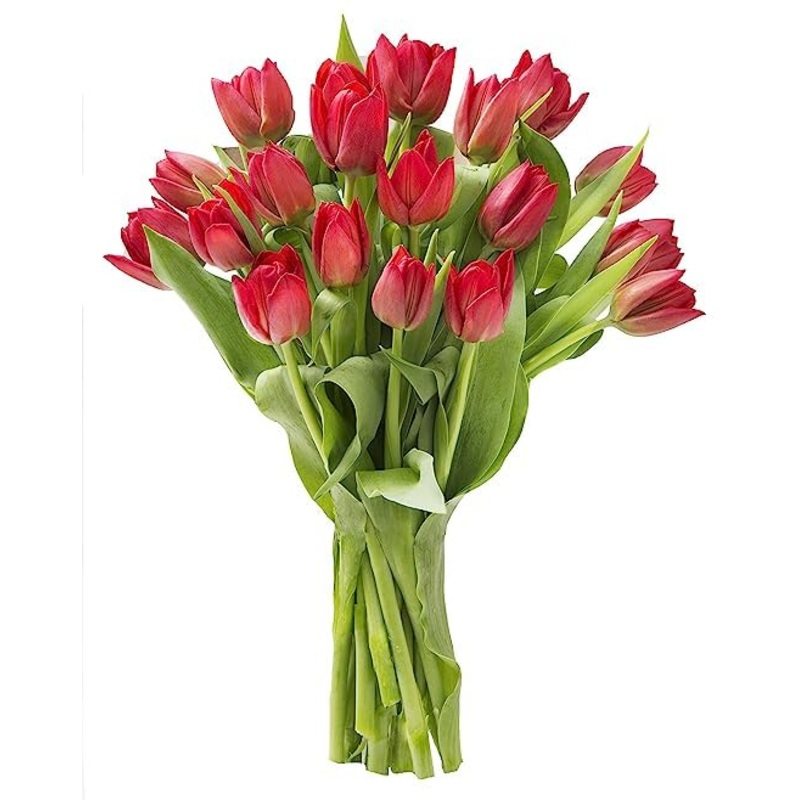 Kabloom Flowers -Valentine’S Day Collection – 20 Red Tulips Without Vase, Gift For Birthday, Sympathy, Anniversary, Get Well, Th