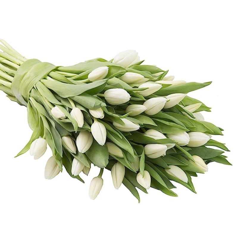 Kabloom Flowers -Valentine’S Day Collection – 30 White Tulips, Gift For Birthday, Sympathy, Anniversary, Get Well, Thank You, Va