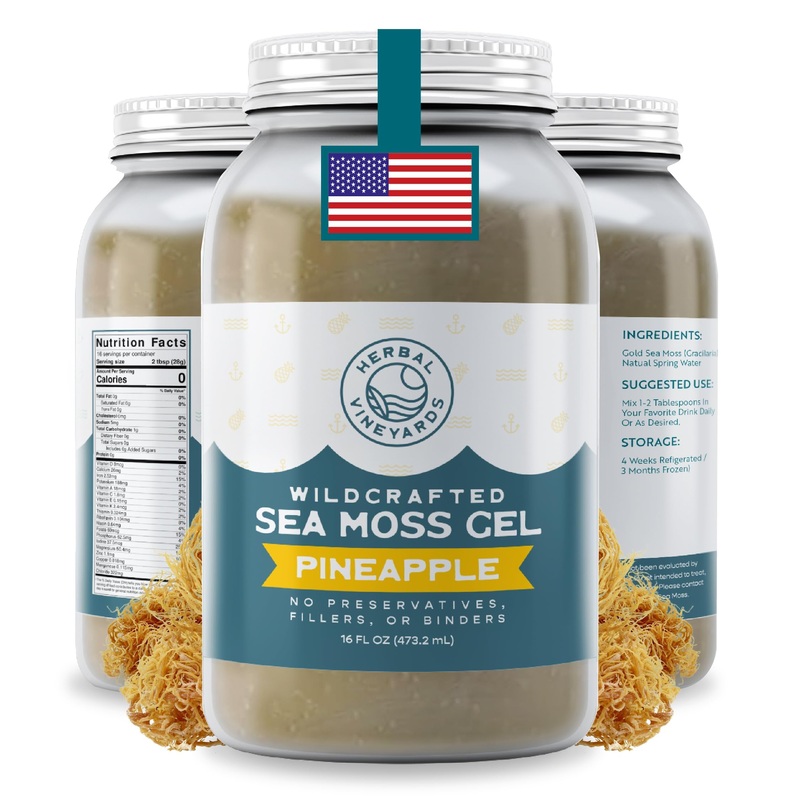 Herbal Vineyards Wildcrafted Irish Pineapple Sea Moss Gel 16 Oz – Organic Seamoss Gel Made With Dried Seaweed & Fresh Sea Vegeta