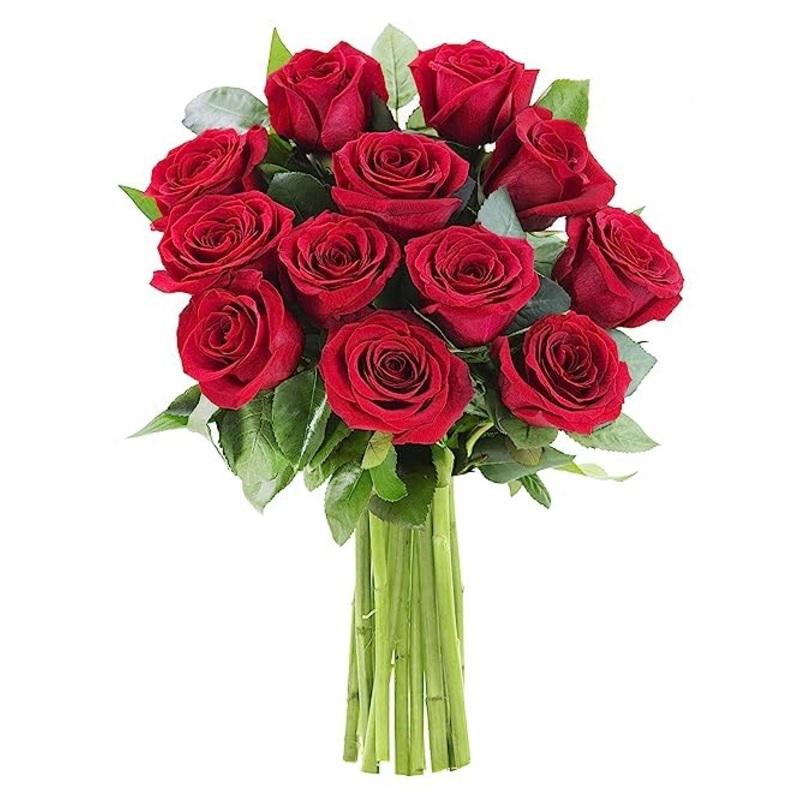 Kabloom Flowers – Mother’S Day Collection – 12 Red Roses Without Vase, Gift For Birthday, Sympathy, Anniversary, Get Well, Thank