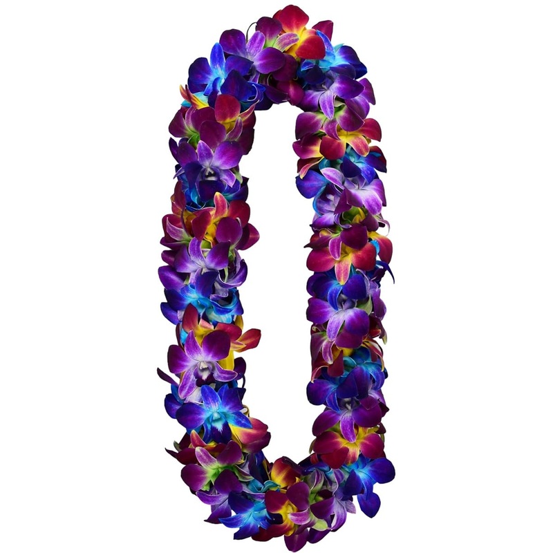 Fresh Perishable Orchid Flower D-Lei Orchidclubusa By Sunne Tropical (Rainbow Dyed)