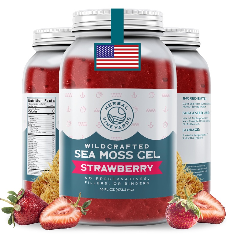 Herbal Vineyards Wildcrafted Irish Strawberry Sea Moss Gel 16 Oz – Organic Seamoss Gel Made With Dried Seaweed & Fresh Sea Veget