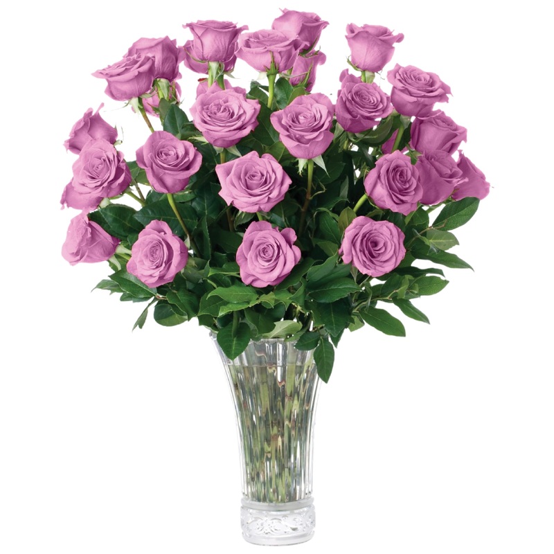 Aquarossa Farms – 24 Lavender Roses, Fresh Flowers For Delivery, Flower Fresh Bouquet, Gift Idea For Graduation, Birthday, Anniv