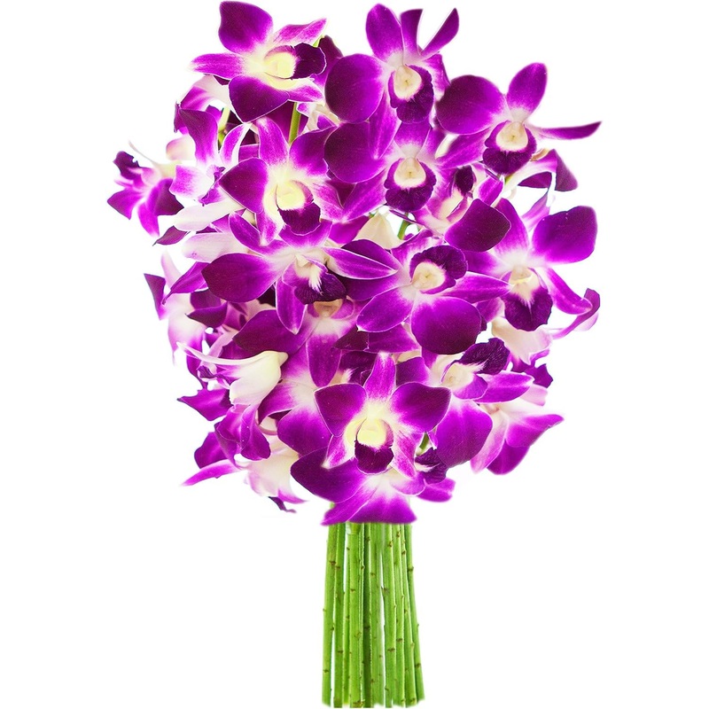 Kabloom Flowers – Mother’S Day Collection – 10 Purple Orchid Without Vase, Gift For Birthday, Sympathy, Anniversary, Get Well, T