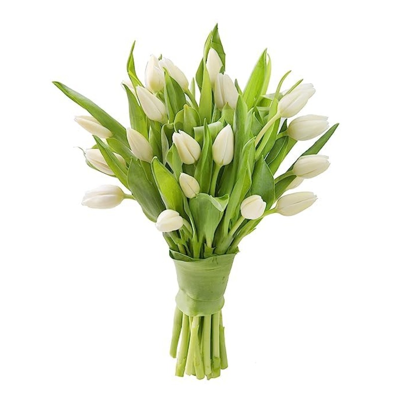 Kabloom Prime Next Day Delivery – Fall Collection – Premium 20 White Tulips – Farm Fresh Cut Flowers. Gift For Birthday, Sympath