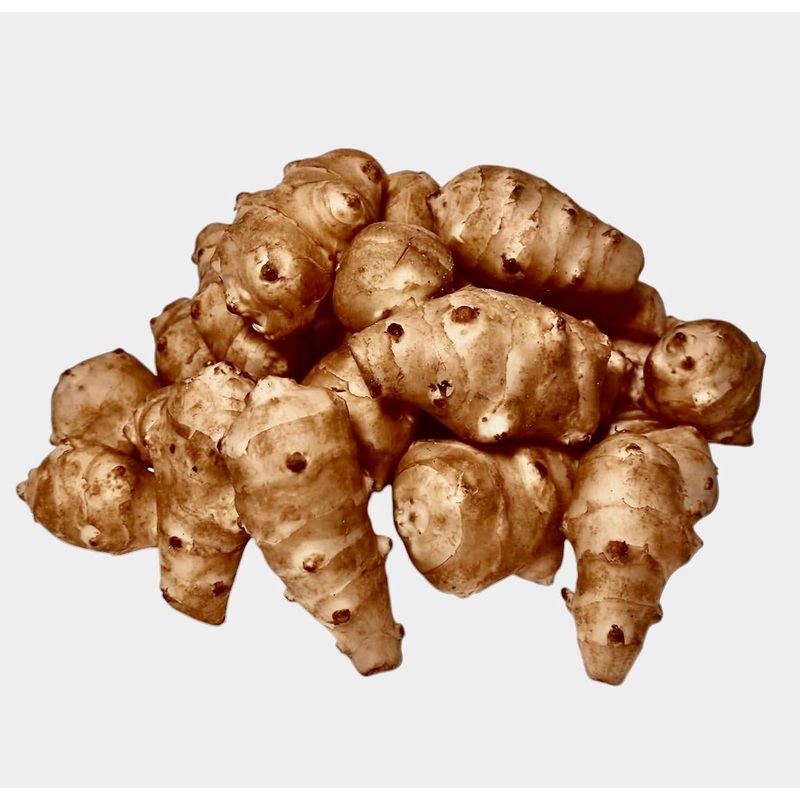 Kejora Fresh Jerusalem Artichokes (Sunchokes Or Sunroot) For Planting Or Eating – 4 Pounds Ship Fedex 2Nd Day Air