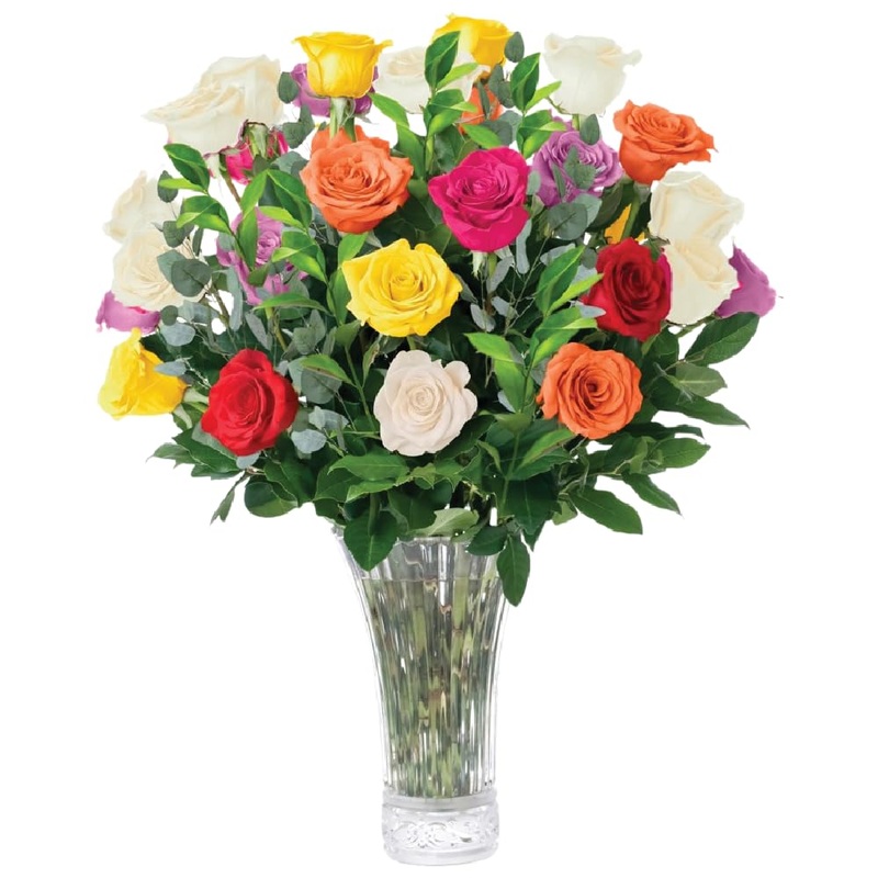 Aquarossa Farms – 24 Assorted Roses, Fresh Flowers For Delivery, Flowers Fresh Bouquet, Gift Idea For Graduation, Birthday, Anni
