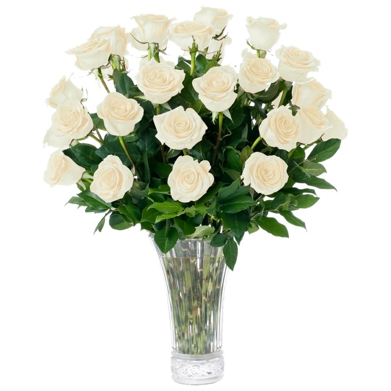 Aquarossa Farms – 24 White Roses, Fresh Flowers For Delivery, Flower Fresh Bouquet, Gift Idea For Graduation, Birthday, Annivers
