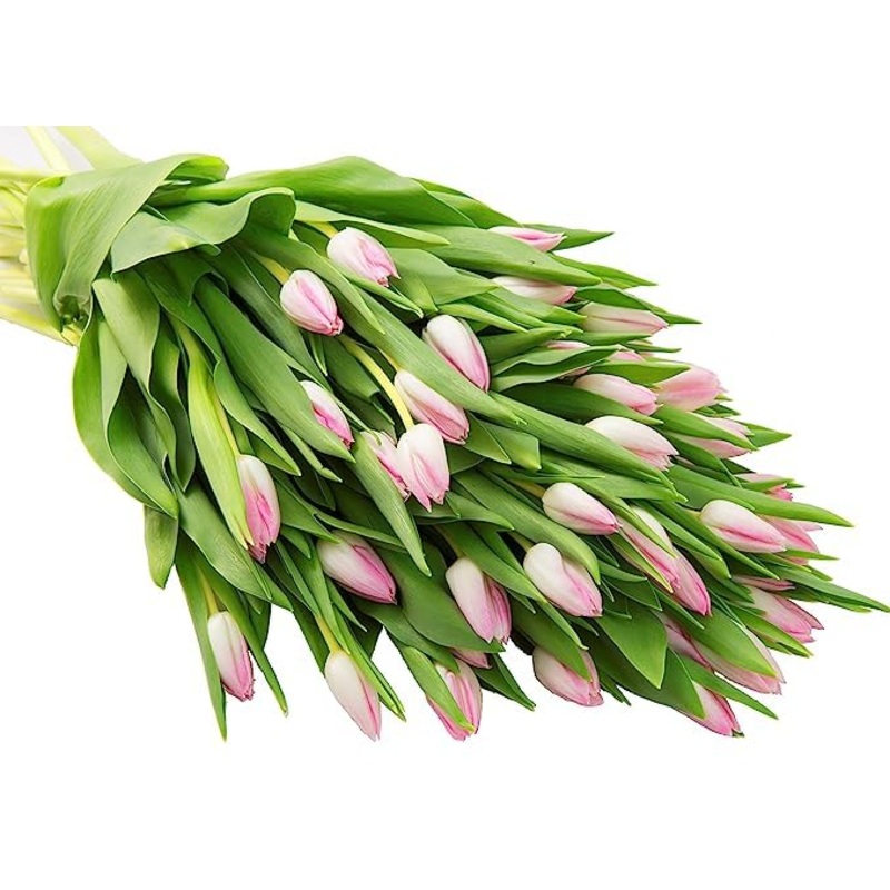 Kabloom Flowers -Valentine’S Day Collection – 30 Pink Tulips, Gift For Birthday, Sympathy, Anniversary, Get Well, Thank You, Val