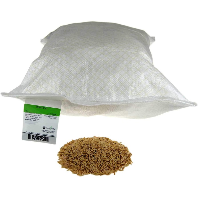 25 Lb Bulk Non-Gmo Organic Whole Oat Groats (W/Husk) – Gluten Free Organic Oats – Whole Oats Organic For Sprouts, Steel Cut Oats