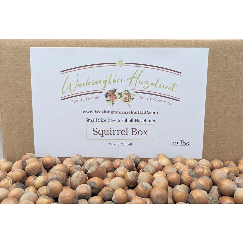 Raw, Small Size In-Shell Hazelnuts Grown In Our Family’S Orchard. 12 Pound Squirrel Box.