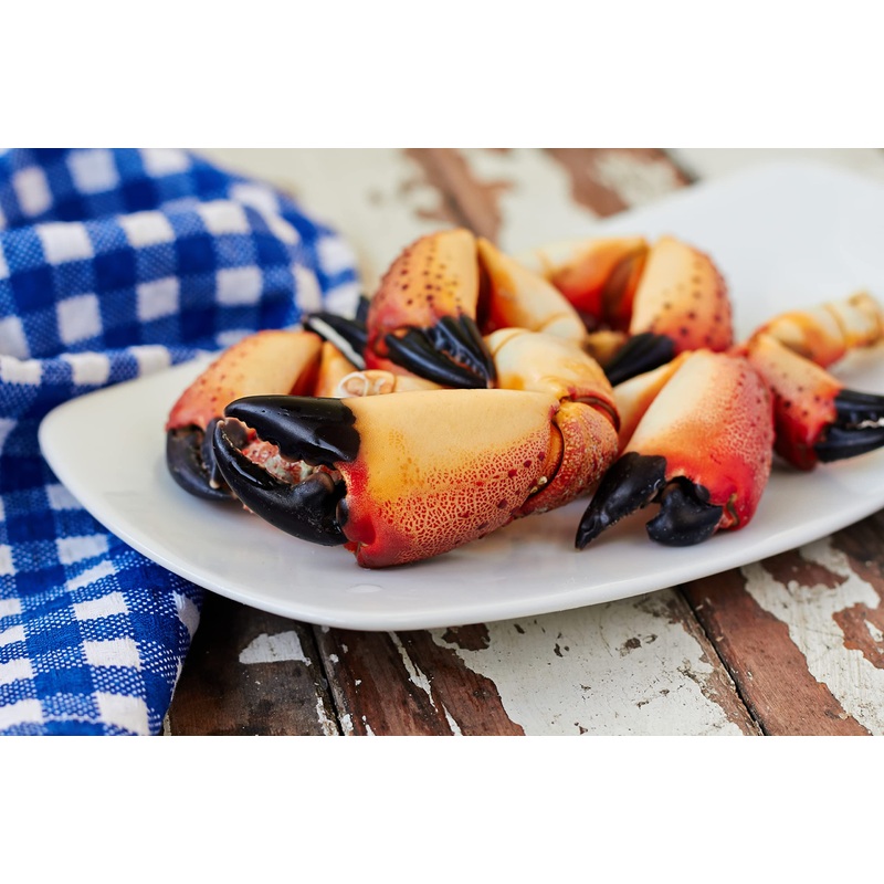 Fresh Florida Stone Crab Claws (Medium, 3 Lb) The Rolls Royce Of Claws – 6 To 8 Pieces Per Pound | Premium Gourmet Seafood | All
