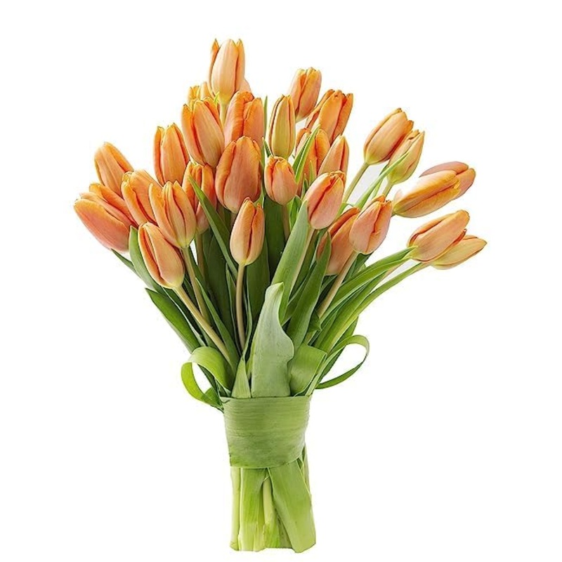 Kabloom Flowers – Bloomia Collection – 15 Orange Tulips Without Vase – Gift For Birthday, Sympathy, Anniversary, Get Well, Thank