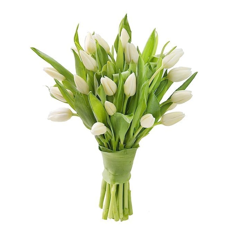 Kabloom Flowers – Bloomia Collection – 15 White Tulips Without Vase – Gift For Birthday, Sympathy, Anniversary, Get Well, Thank