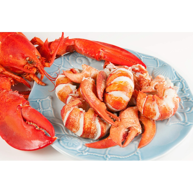 Fresh Picked Maine Lobster Meat – 2 Pounds **Delivered Tomorrow**