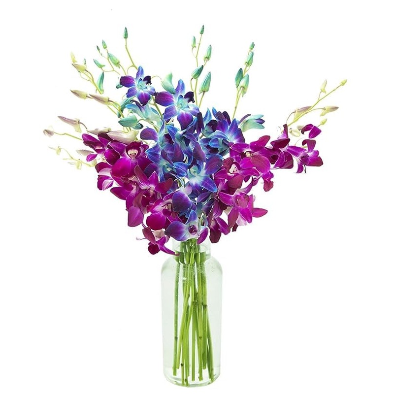 Kabloom Flowers – Mother’S Day Collection – 5 Blue And 5 Purple Orchid With Vase, Gift For Birthday, Sympathy, Anniversary, Get